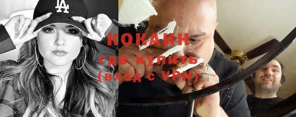 шишки Щигры